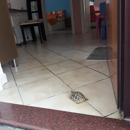 Apartament Family-friendly